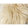 MIROFOX Yaki Ivory Cream — оттенок при разном свете