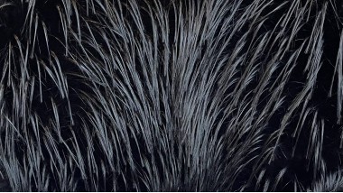 Экомех Mirofox коллекции Yaki / Шелковый Як / цвет - Onyx