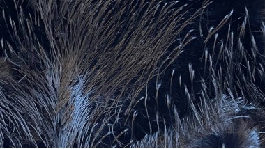 Экомех Mirofox коллекции Yaki / Шелковый Як / цвет - Onyx